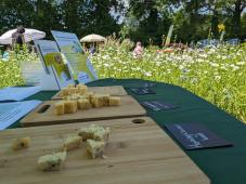 Culinair Rondje Lochem