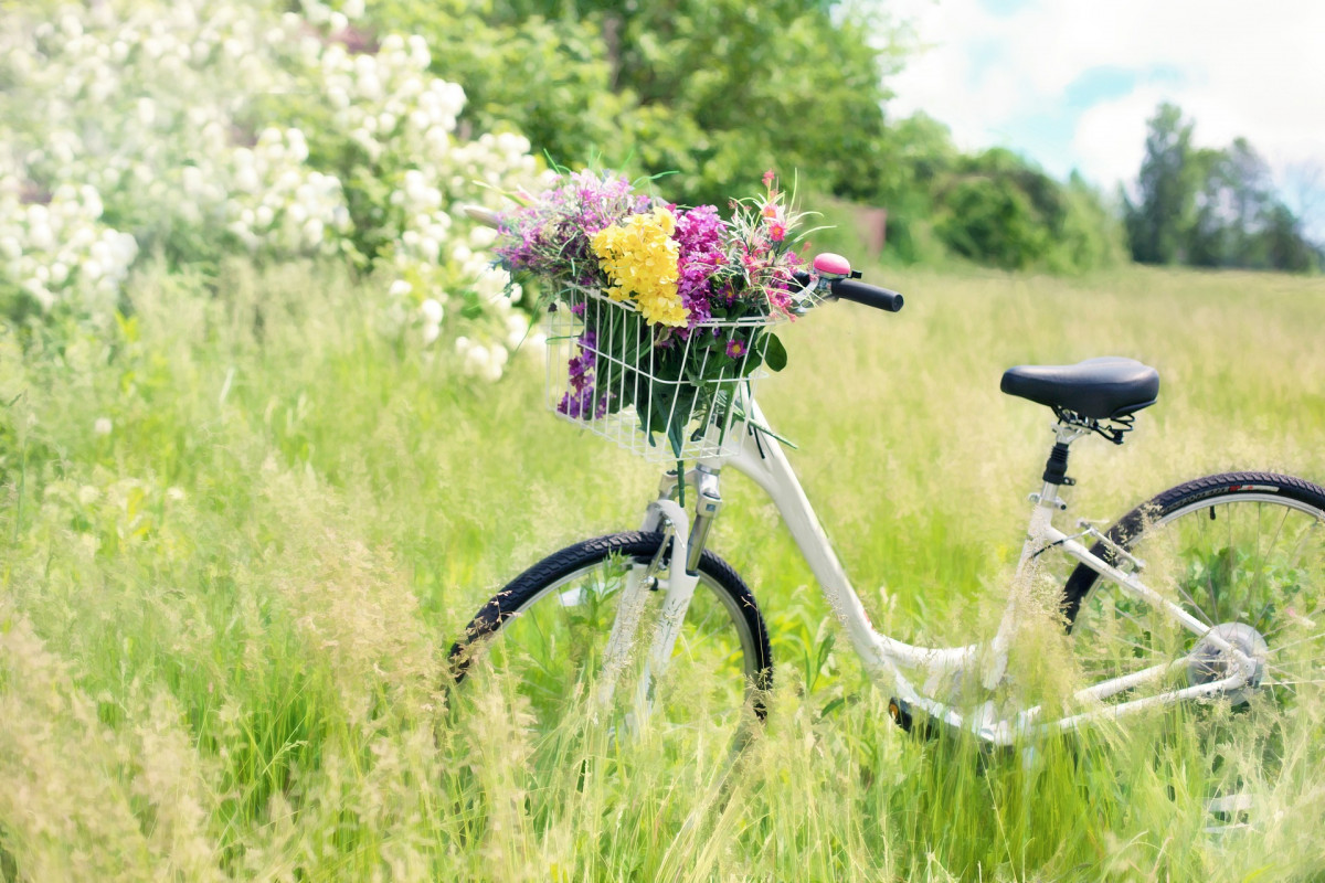 fiets in hoog gras